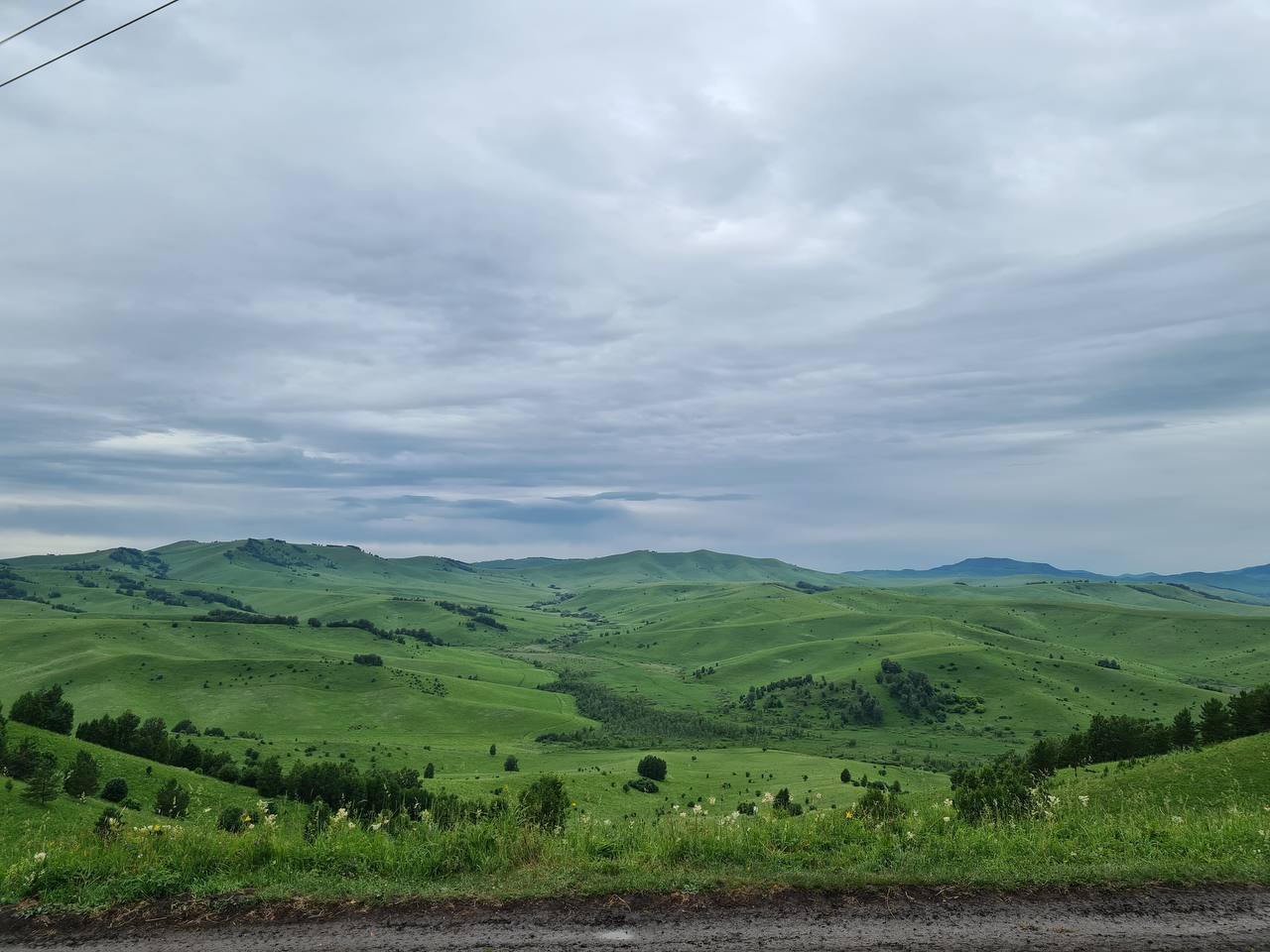 Природа Алтая